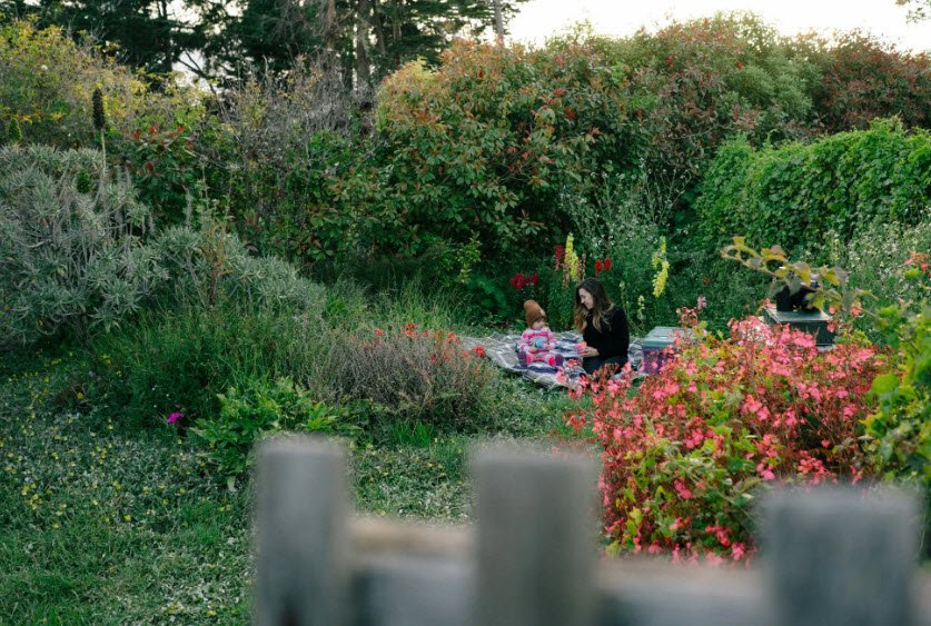Marin-Bolinas Botanical Gardens, United States